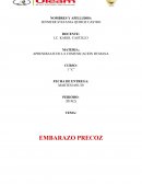 Embarazo precoz
