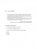 Comprendiendo textos expositivos. ¿Qué es una fulgorita?