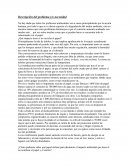 Agenda ecologica ¿Qué impacto tiene el no reciclar el papel?