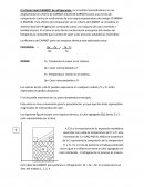 El criterio ideal (CARNOT)