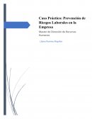 Caso Practico - Prevencion de Riesgos Laborales en la Empresa