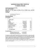 ANÁLISIS FINANCIERO VERTICAL