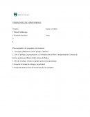 TRABAJO DE ÉTICA PROFESIONAL