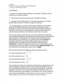 DIDACTICA DE LAS CIENCIAS NATURALES II. “CELULA UNIDAD DE VIDA”