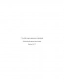 Control de riesgos operaciones en la minería. Administración operaciones mineras