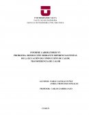 RESOLUCIÓN MEDIANTE DIFERENCIAS FINITAS DE LA ECUACIÓN DE CONDUCCIÓN DE CALOR