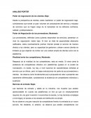 ANALISIS PORTER
