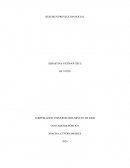 RESUMEN PROYECCION SOCIAL