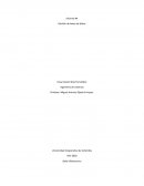 Documentacion aplicacion web inventarios