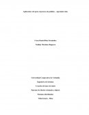 Aplicación web para el proceso de pedidos – Agrotodo Ltda.