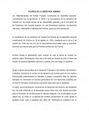 PILARES DE LOS DERECHOS HUMANO