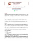 Sistemas de Información de Mercadotecnia