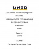HERRAMIENTAS TECNOLOGICAS DE PRODUCTIVIDAD