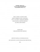 EVALUACIÓN DE DESEMPEÑO LAP DISTRIBUCIONES S.A.S