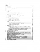 Caso de estudio 4 PPG