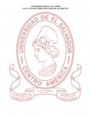 COMUNICACIÓN Y ORGANIZACIÓN ENTRE LOS SOCIOS Y EMPRENDEDORES