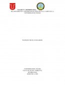 Taller Reconocimiento Especies. Dendralogia