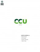 CCU MICROSEGMENTACIÓN Y DERIVADAS