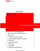 ESTRATEGIA EMPRESARIAL ENEB