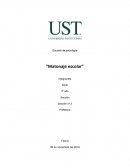 Escuela de psicología “Matonaje escolar”
