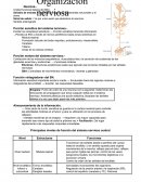 Sinapsis y SNC