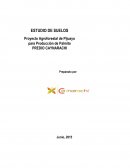 Proyecto Agroforestal de Pijuayo para Producción de Palmito