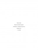 Tarea 6 evaluación y formulación de proyectos