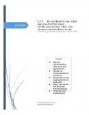 INFLUENCIA DE LA MERCADOTECNIA