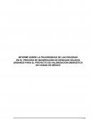 INFORME SOBRE LA PELIGROSIDAD DE LAS ESCORIAS