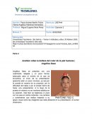 Análisis video la belleza del color de la piel humana | Angélica Dass