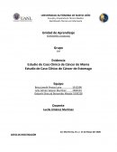 Estudio de Caso Clínico de Cáncer de Mama , Cáncer de Estomago