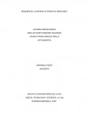 LA ENERGIA ALTERNATIVA RENOVABLE