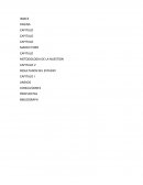 METODOLOGIA DE LA NUESTION