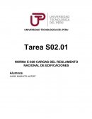 NORMA E-020-CARGAS DEL REGLAMENTO NACIONAL DE EDIFICACIONES