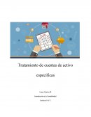 Tratamiento de cuentas de activo específicas