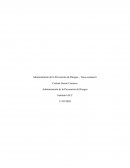 Administración de la prevención de riesgos