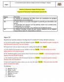 LINEAMIENTOS CURRICULARES DE LENGUA CASTELLANA