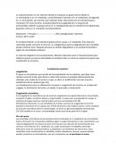 Bioquimica. La transaminación