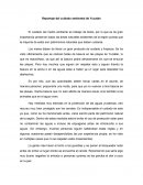 Reportaje del cuidado ambiental de Yucatán