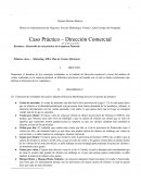 Resumen—Desarrollo de caso práctico de la empresa Pintarair