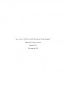Tarea semana 6 “Registro contable del impuesto al valor agregado”
