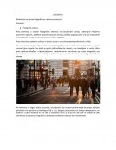 LPQ DIGITAL Realización de tomas fotográficas: urbanas e insectos