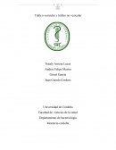 Tráfico vesicular y tráfico no vesicular