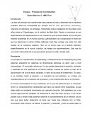 Ensayo Heisenberg INCERTIDUMBRE