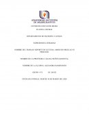 REPORTE DE LECTURA: AMOR SIN ORGULLO NI PREJUICIO