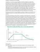 PETRÓLEO Y LOS LÍQUIDOS DE GAS NATURAL