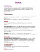 Tejidos