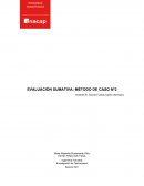 EVALUACIÓN SUMATIVA: MÉTODO DE CASO Nº2 empresa S&S