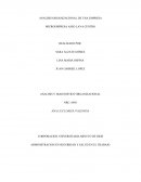 ANALISIS ORGANIZACIONAL. MICROEMPRESA ASEO LAVA CENTRO