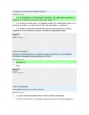 ¿Cuáles son los pilares del Gobierno abierto?